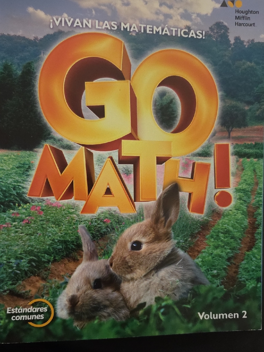 Houghton Mifflin Go Math! Volume 2 - Yellow Cover
